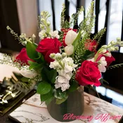 Bloom0506