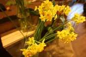 Seasonal Arrangement — IXIA