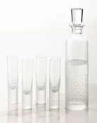Artic Vodka Decanter & Shot Glass Set