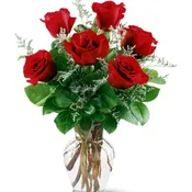 6 Red Roses