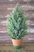 20" Mini Topiary Pine w/ Ice & Clay base