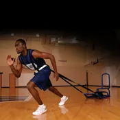 Shoulder Harness