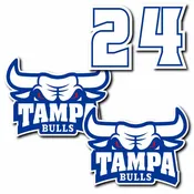 BULLS HELMET DECAL