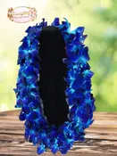Blue Double Orchid Graduation Lei