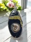 Ammonite Imbedded in Simbercite for Karmic Healing, Ancestral Wisdom & Embracing Change