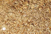 Wood Chips