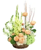 GARDEN HARMONY