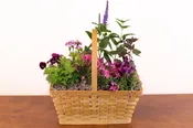 Perennial Garden Basket by Studley’s