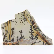 4 inch (2 lb.) Dendrite - Picture Stone
