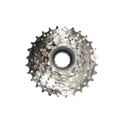 Gearing Freewheel