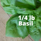 0.25 lb Bagged Cut Basil — Olivia's Garden