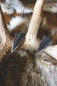 Ace Standard Broadhead