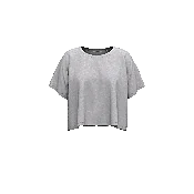 Women's Box Crop SS Tee