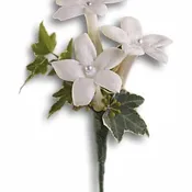 White Gloves Boutonniere
