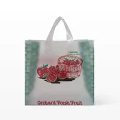 1/2 Bushel Double Handle Clear Plastic Apple Tote Bags