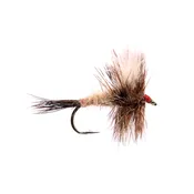 Ausable Wulff