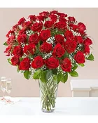 4 Dozen Red Roses