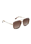 DIFF Jordan Brown Tortoise Polarized Sunglasses