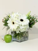 A Petite White Elegance