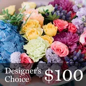 Colorful Designer's Choice