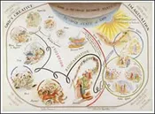 Creation / Evolution Chart