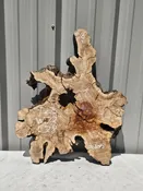 Olive Crosscut - 06105 — Cali Hardwoods & Supplies