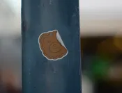 Removable Stickers