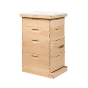 10-Frame Complete Combo Beehive Kit - Amish Made