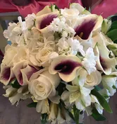 Brides Choice