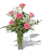 6  PINK ROSES OR NICEST COLOR