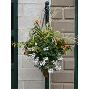 14 Inch Diameter Conical Hanging Basket/Liner Set