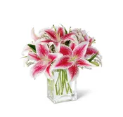 The FTD® Pink Lily Bouquet