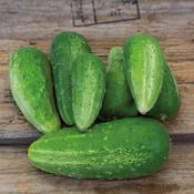 Cucumber, Homemade Pickles