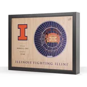 Illinois Fighting Illini 25-Layer Stadium view Wall art