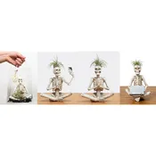 Selfie, Laptop, Yoga Skeletons With Air Plant