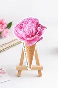 *FREE* Peony Ice Cream Cone sticker — Shop Now