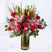 Full Bloom