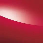 BFSR - RED MIRROR