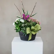 A Mother’s Garden