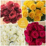 100 Choose Your Colors Bulk Roses - Wholesale