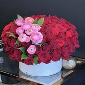 Red hot valentine