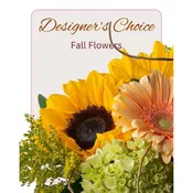 Fall Designer's Choice