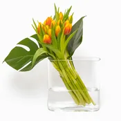 Bright Floral Arrangement – Amsterdam Blooms