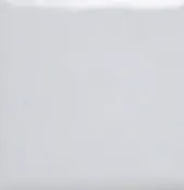 1020 Titanium White (A)