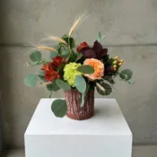 Autumn Ember
