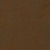 Grandpa's Journal Dots and Dashes on Brown