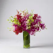 Luminous Luxury Orchid Bouquet
