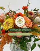 Cut Flower Garden 101 September 26 At 10Am
