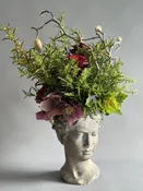 Goddess Delight — IXIA