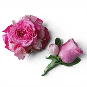 Prom Dance Corsage And Boutonniere